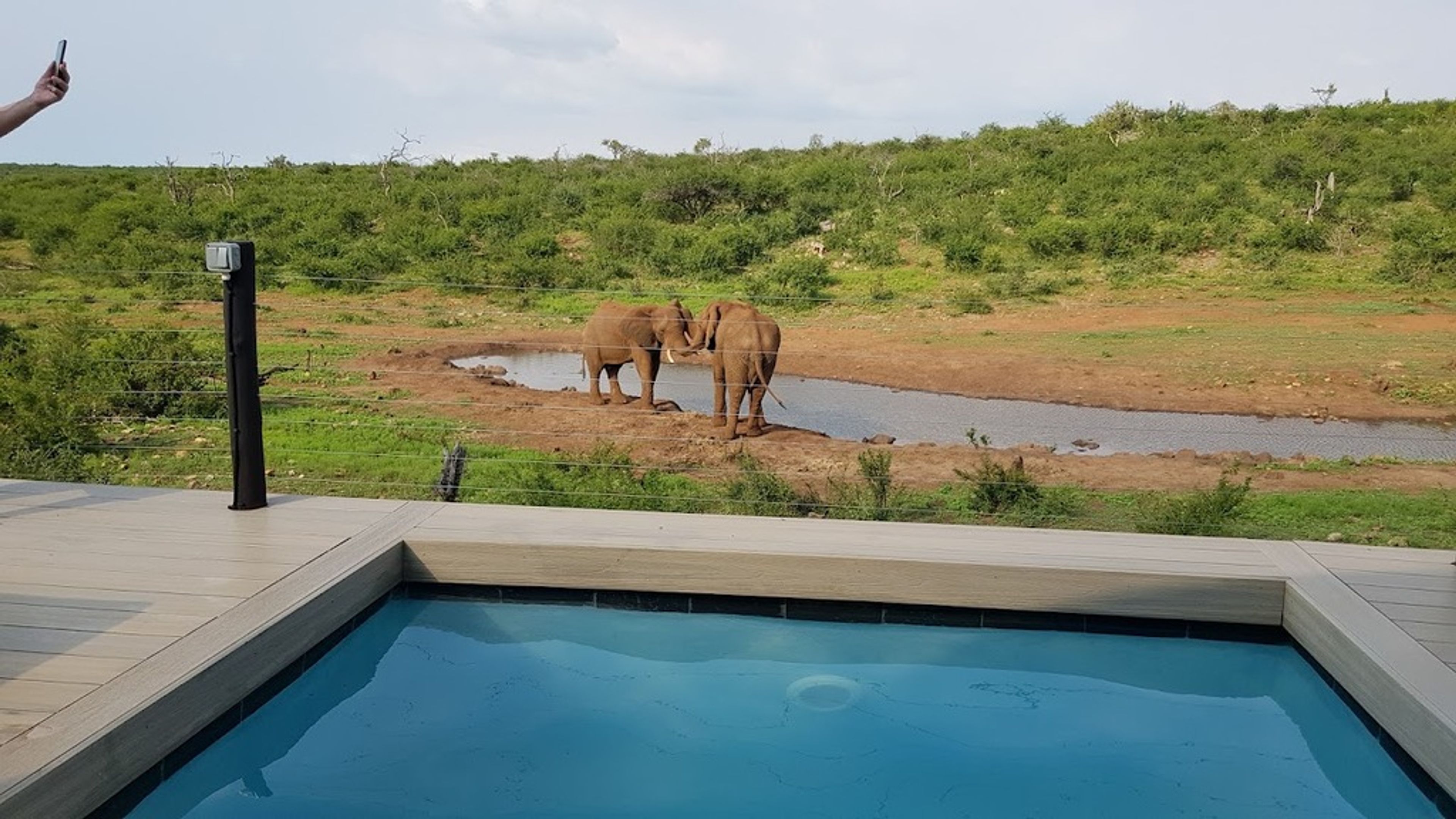The Royal Madikwe Luxury Safari Villas