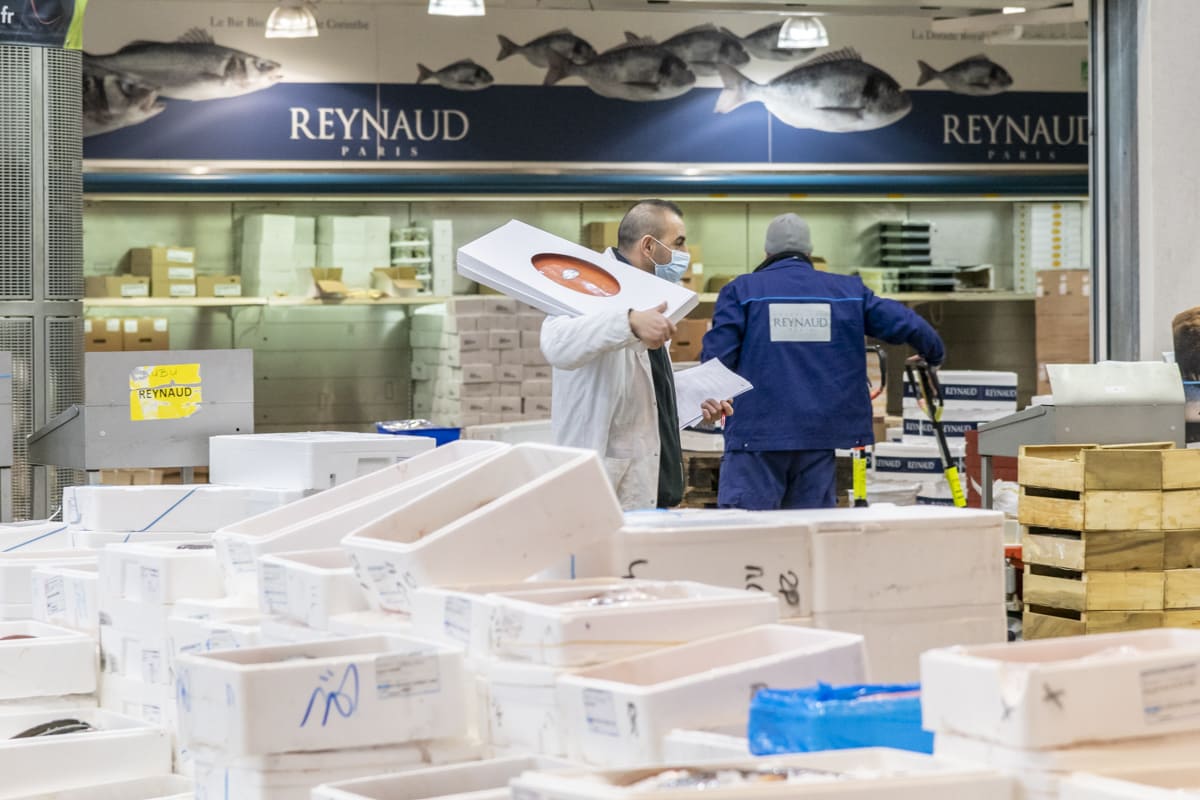 Rungis International Market – In the seafood sector
