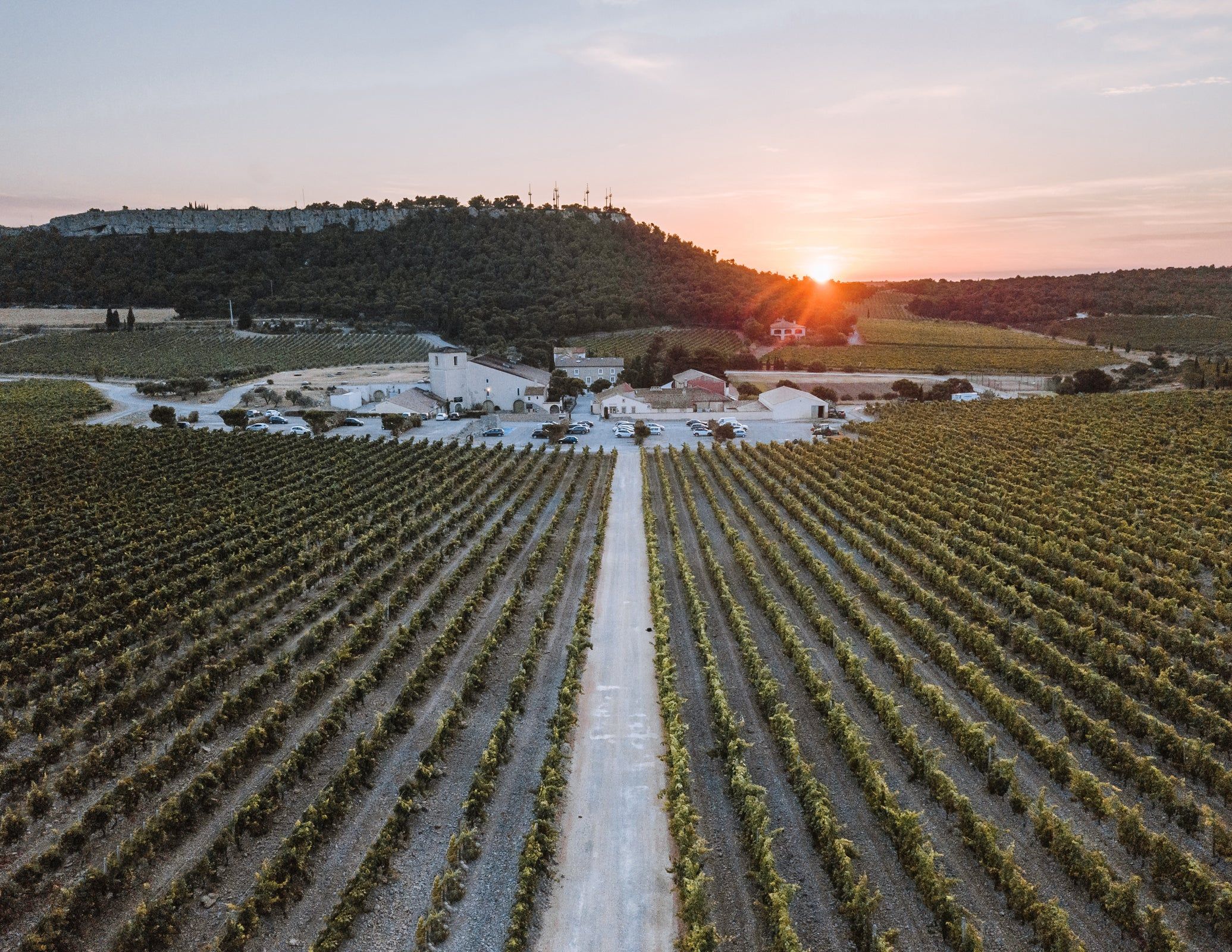 Gérard Bertrand – The Château l’Hospitalet, amid its vines