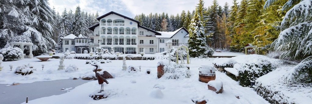 Waldhotel Sonnora – Photo 2