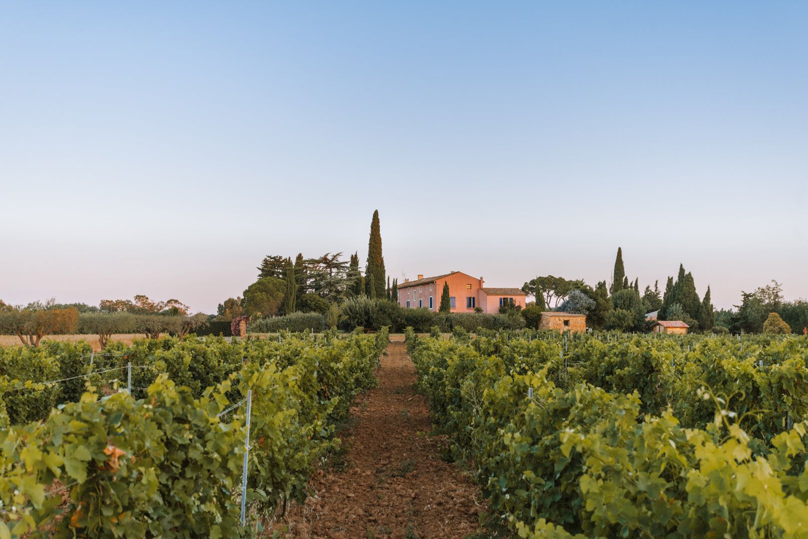 Gérard Bertrand – The Domaine de Cigalus, in summer